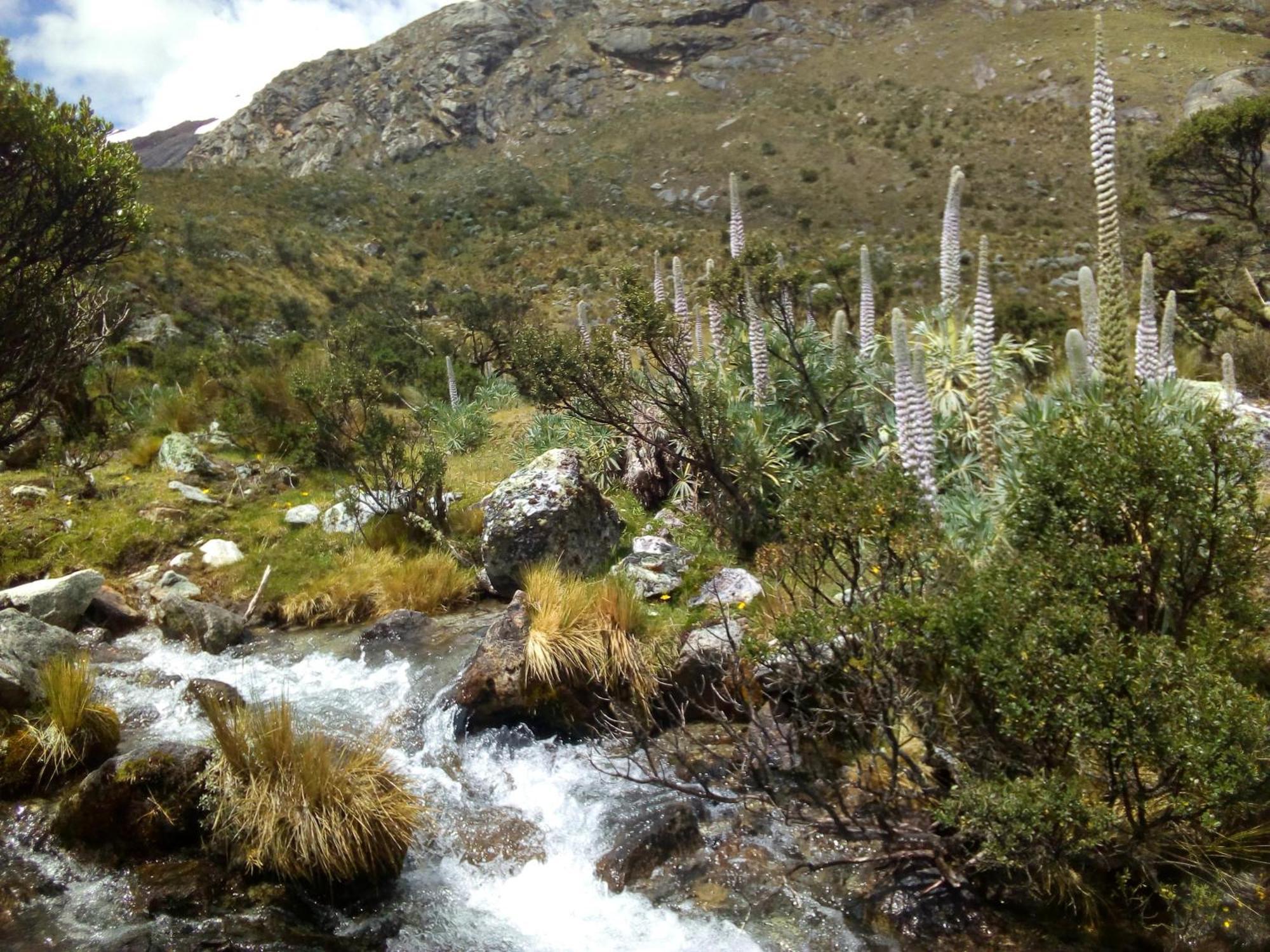 Bed and Breakfast Amazing Huaraz Екстер'єр фото